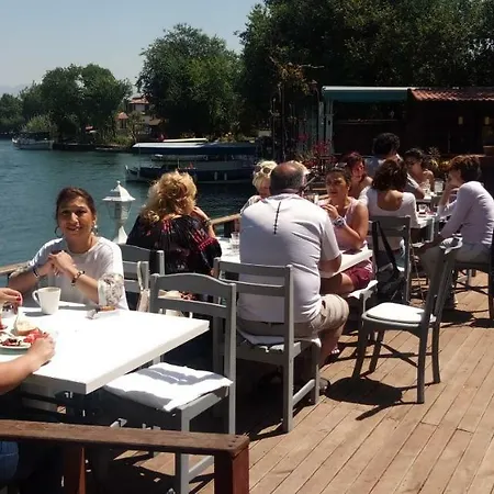 Dalyan *